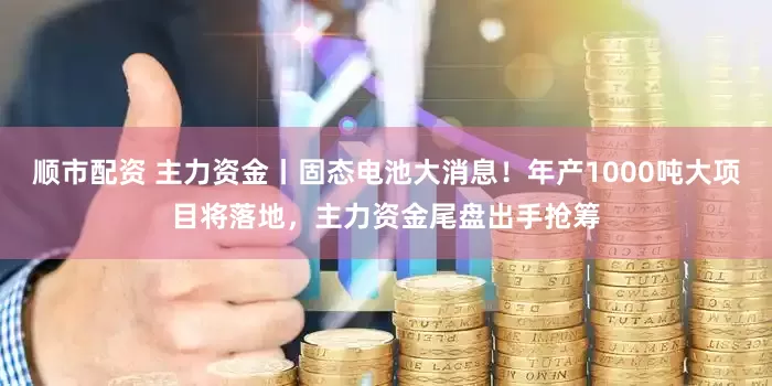 顺市配资 主力资金丨固态电池大消息！年产1000吨大项目将落地，主力资金尾盘出手抢筹