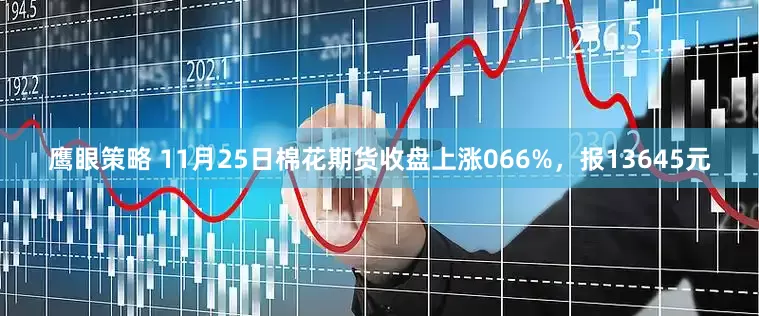 鹰眼策略 11月25日棉花期货收盘上涨066%，报13645元